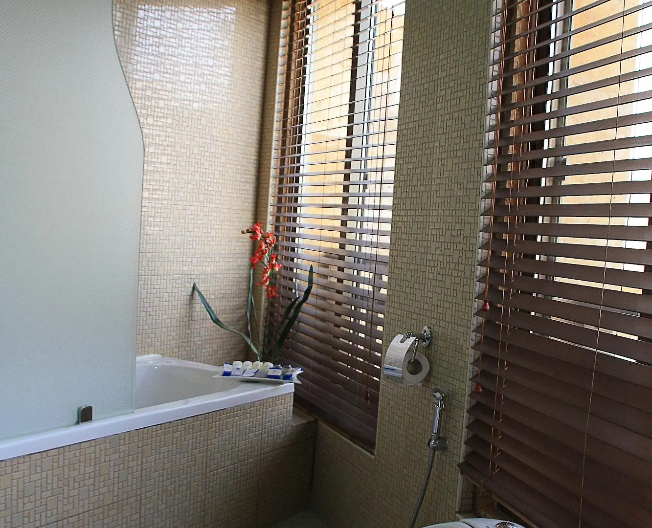 Captain'S Hotel Aqaba